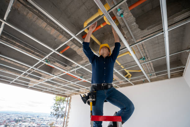 Best Same-Day Plumbing Service  in Clayco, MO